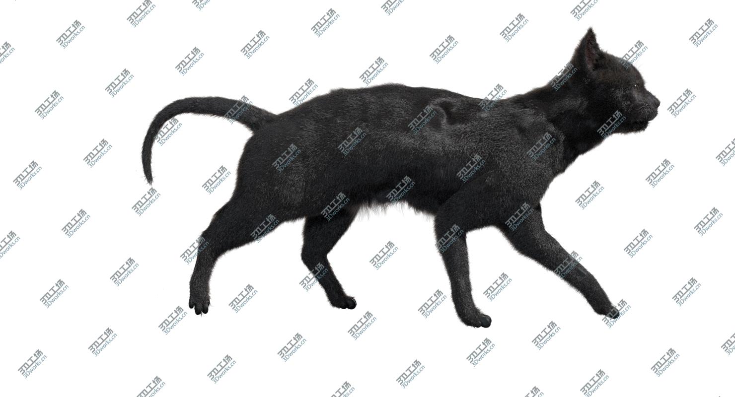 images/goods_img/202104021/3D Black Cat (Rigged) model/3.jpg